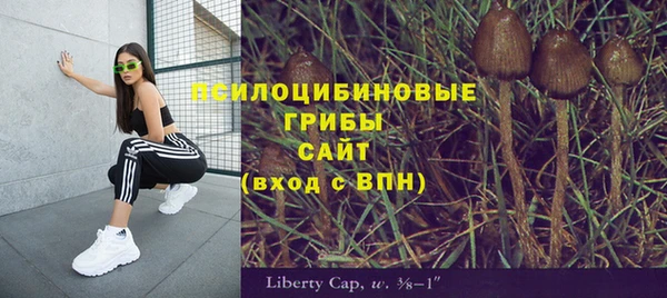 кокаин Богданович