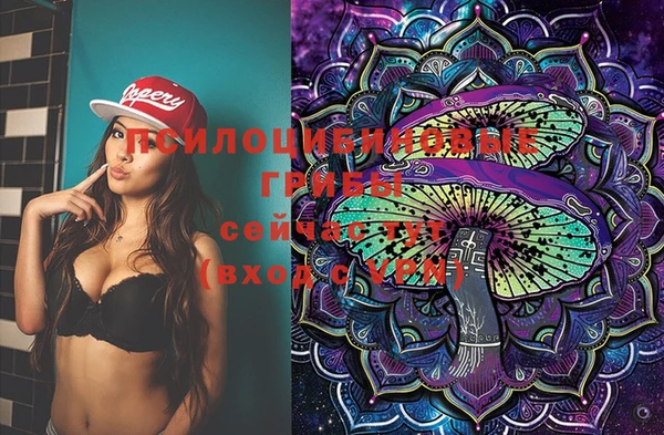 дмт Бронницы